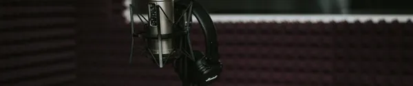 A condenser microphone set up in a studio for a vocal take