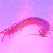 Centipedes – Dubstep Type Beat cover art by Surce