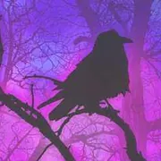 Cursed（Evilタイプビート）のカバーアート | Surce Beats