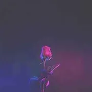 Netflix & Chill – Love Type Beat Type Beat cover art by Surce
