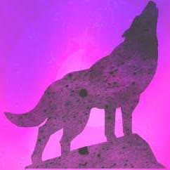 We The Wolves cover